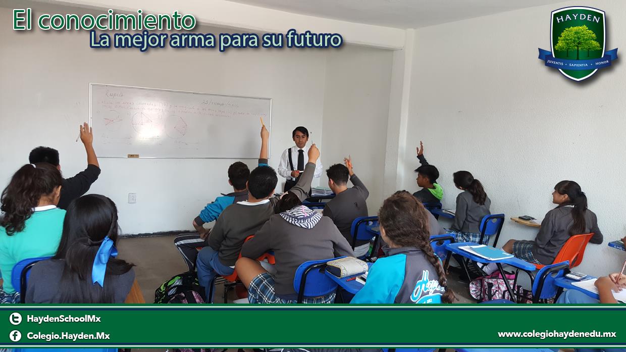 Primaria Alta